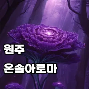 원주-온솔아로파.webp